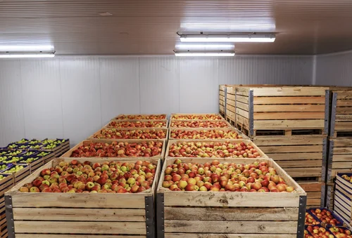 Apple Crate View