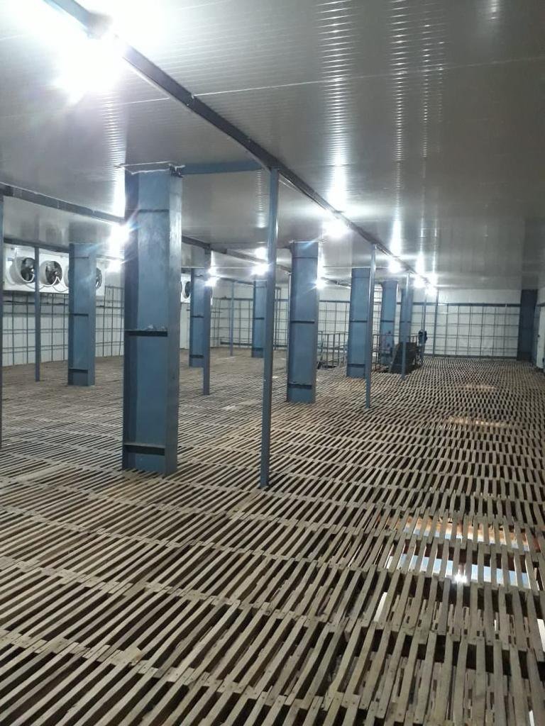 Cold Store Inside