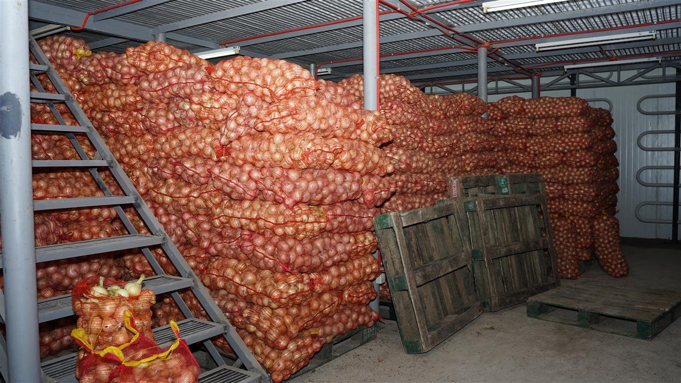 Onion Bag